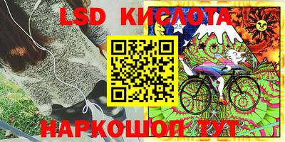 кокс Бийск